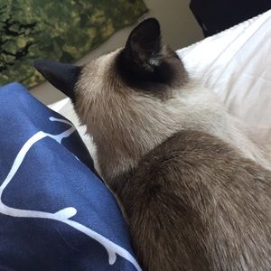 Meet your Posher, Claire